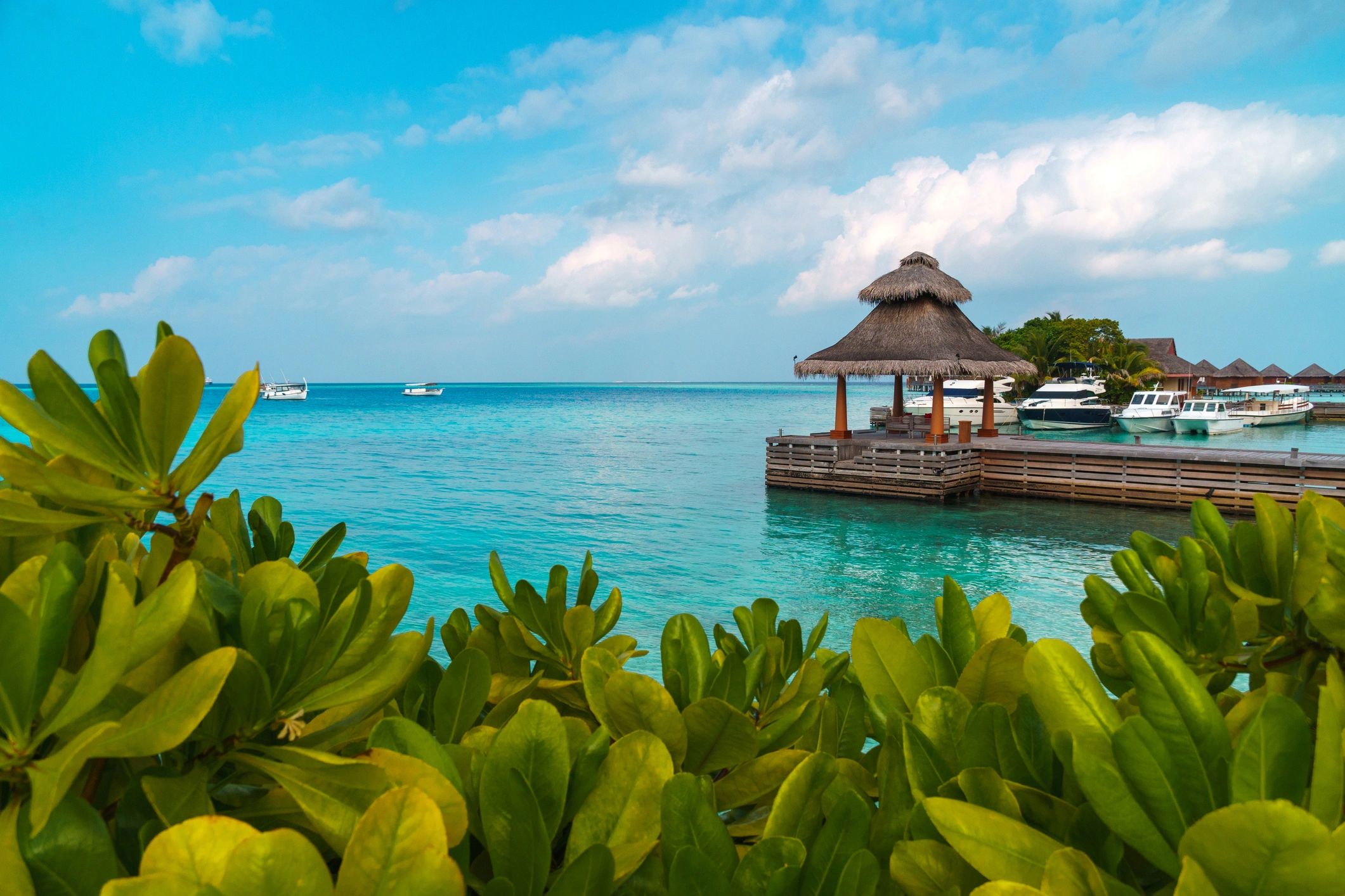 Tropical destination with turquoise water and pier